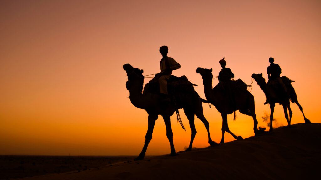 Camel Ride